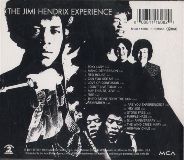 Are You Experienced - back.jpg