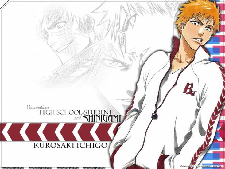 Bleach - ichigo.jpg