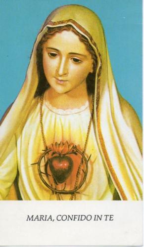 Zdjęcia Figury Matki Bożej Fatimskiej - 56cd6acb8cee3d012fe876795a62e434_medium.jpg