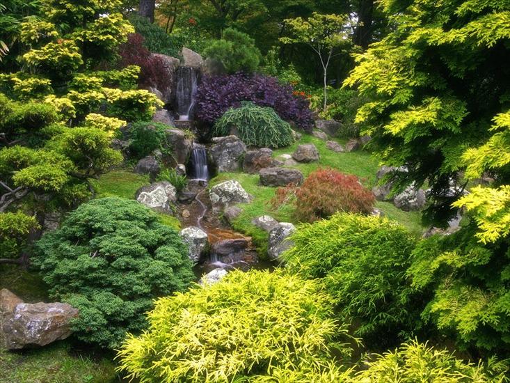 Krajobrazy - Japanese_Tea_Garden_Golden_Gate_Park_San_Francisco_California.jpg