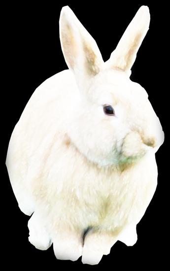 81 - MaeliaDesign_WhenTheNightComes_Elements 65_Rabbit.png