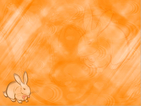 zwierzęta - królik5.png