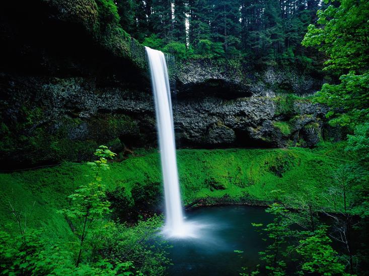 Krajobrazy - South Falls, Silver Falls State Park, Oregon.jpg
