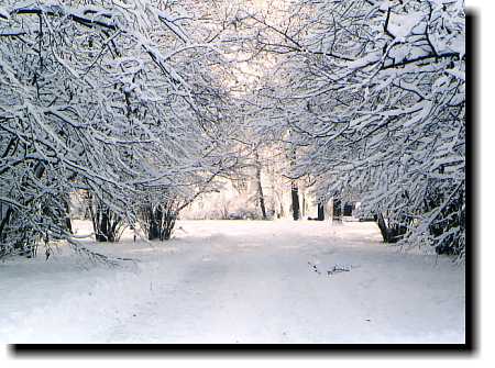 Tapety zimowe krajobrazy - ZIMOWE 20.jpg