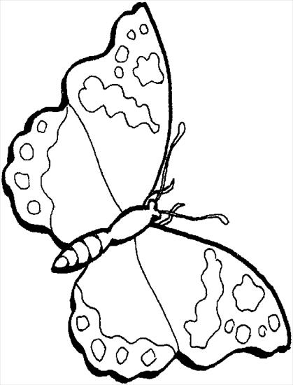 motyle - butterfly4.gif