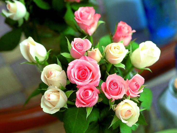Róże - 1156854549.jpg