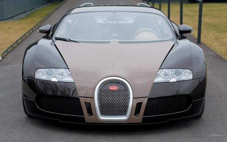 1280 x 800 - Bugatti_veyron-FBG_49_1280x800.jpg
