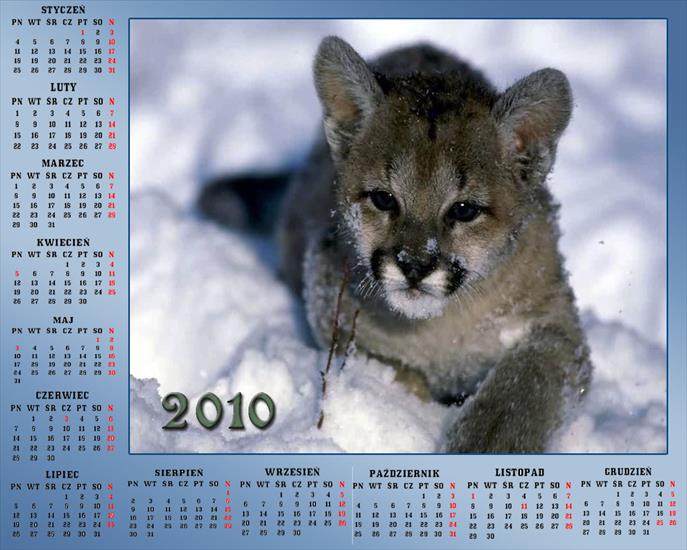 Kalendarze 2010 - Kalendarz 201017.jpg