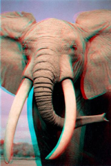 obrazki 3 D - elephant1_a.jpg