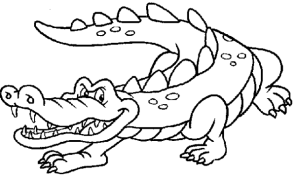 Zwierzęta egzotyczne i hodowlane - krokodyl 2.gif