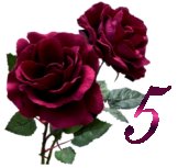 Bordowa róża - 5b.jpg