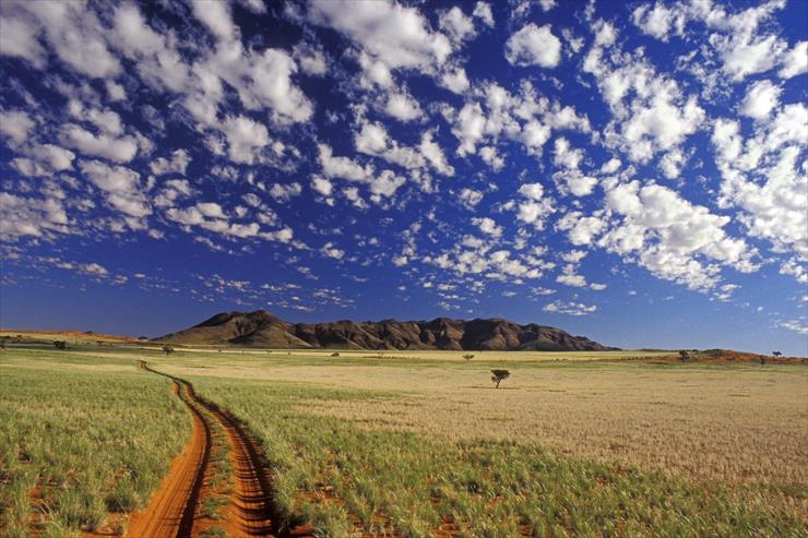jesień i wiosna - Tok Tokkie, NamibRand Reserve, Namib Desert, Namibia.jpg