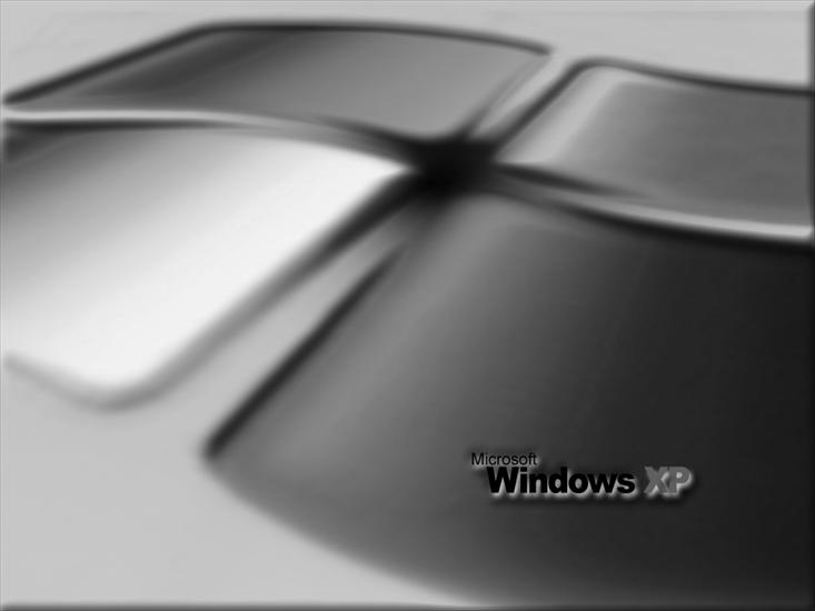 Windows - Nikos Adamamas Inspiration Metallic.JPG