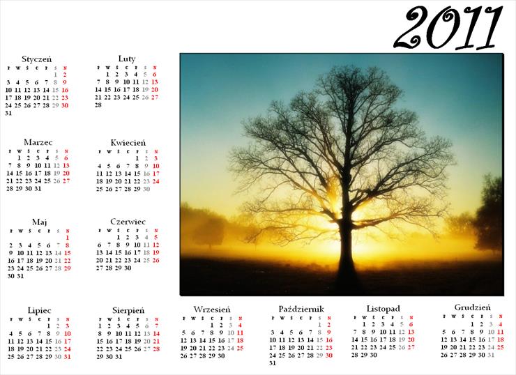 Kalendarze 2011 - kalendarz14.png