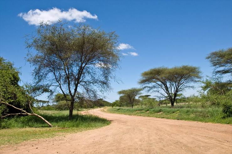 Park Narodowy Ser... - dusty-winding-road-leading-to-the-ndabaka-entrance-gate-to-serengeti-national-park-tanzania.jpg
