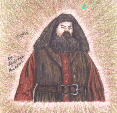 Harry Potter - liz-hagrid.jpg