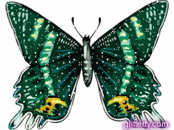 gify ruchome - green_butterfly.gif