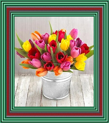 tulipany - tcc.jpg