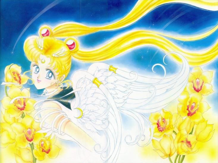 Sailor Moon Stars - Usagi_Tsukino_special_art.jpg