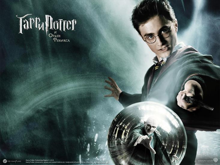 Harry Potter - Harry-Potter-the-Order-Phoenix-wallpapers-687.jpg