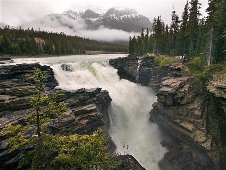KANADA - Athabasca Falls, Jasper National Park, Alberta, Canada.jpg