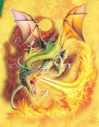 Dragon T-shirts - Dragons on a T-shirt for adults and children_pliki - FireBreathingDragonMJ70.jpg