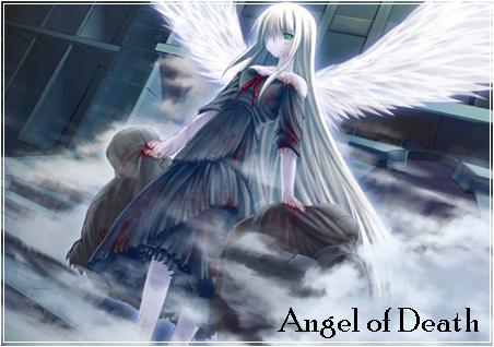 anioły - flora2054.jpg