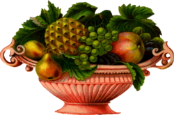 Owoce-Warzywa - pink-fruit-bowl.png