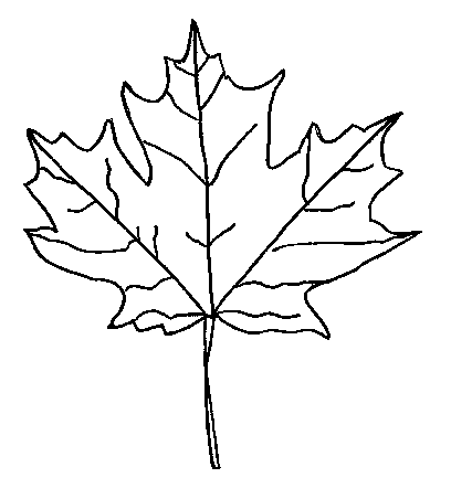 Różne - leaf4.gif