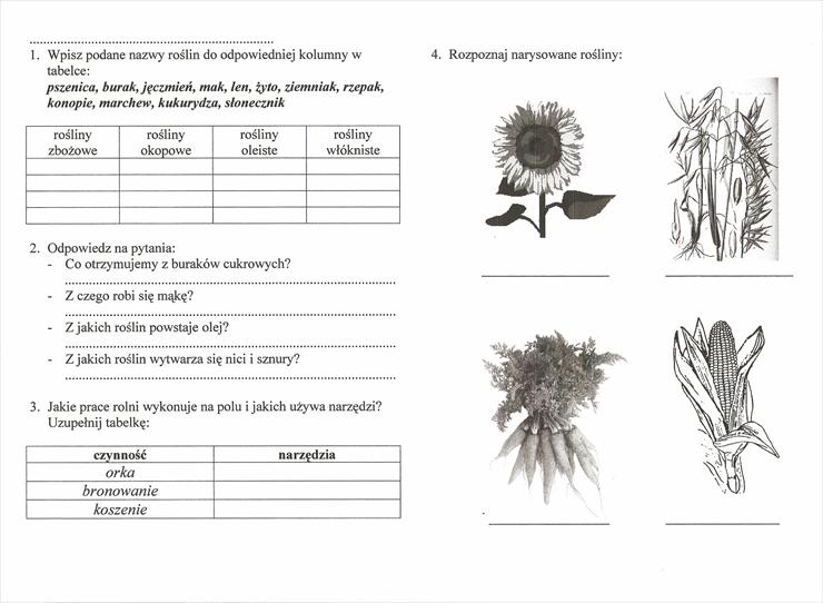 klasa 3 - sprawdzian rośliny uprawne.jpg