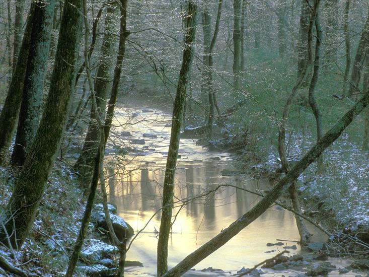 Krajobrazy - Vaughns Creek, Edwin Warner Park, Nashville, Tennessee.jpg
