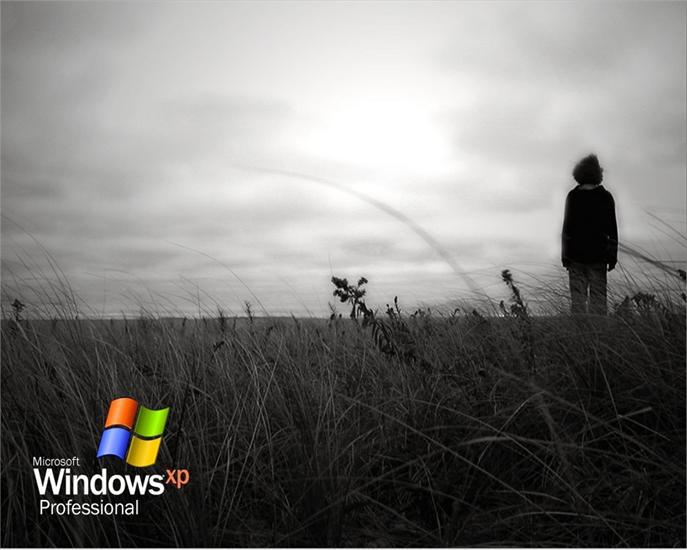 Windows - tapety.pinger.pl-Windows-xp-pic108_1280X1024.jpg