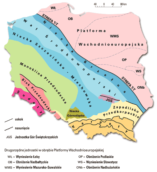 Geologia regionalna - polska_jednostki_tektoniczne.gif
