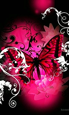 Tapety 240x4001 - butterfly_9spanody.jpg