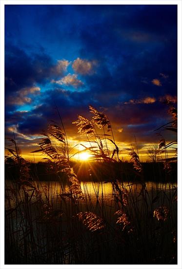 Klimaty - Golden_Sunset____by_XipnosS1.jpg