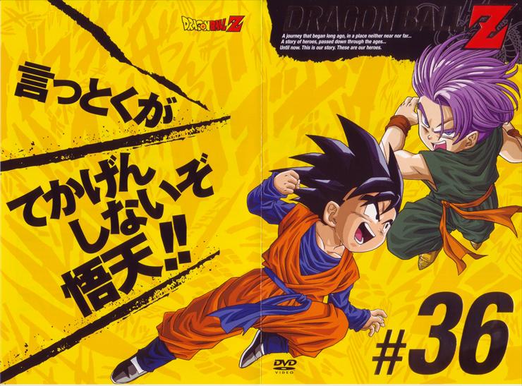 Dragon Ball Z Individual DVD - DBZ-Individual.DVD36-front.jpg