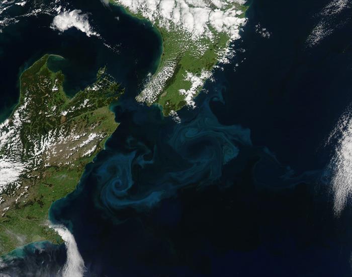 NASA - Spring Bloom in New Zealand Waters.jpg