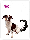 Zodiak 39 dogs - horoskopb9.gif
