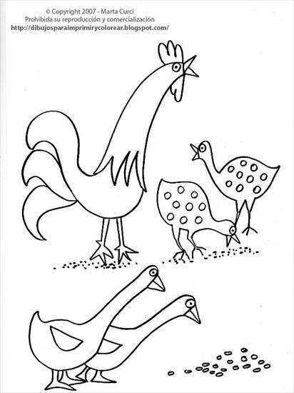 Na wsi - Dibujo de aves de corral para colorear.jpg