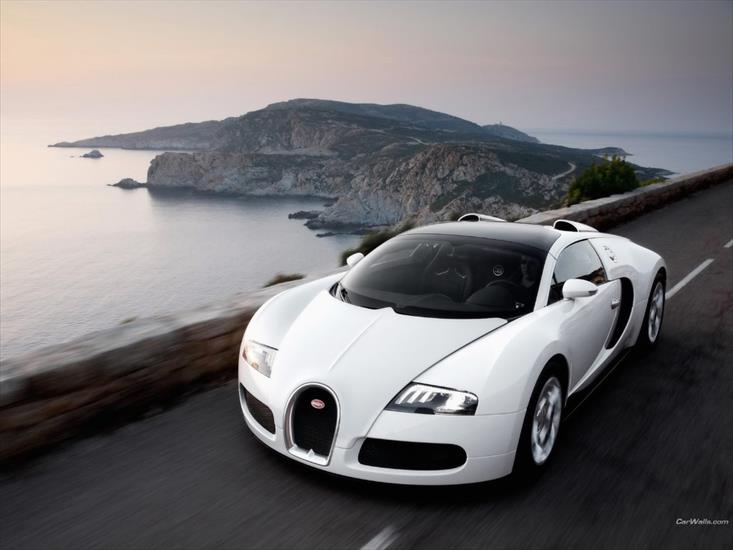 1024 x 768 - Bugatti_Veyron_65_1024x768.jpg