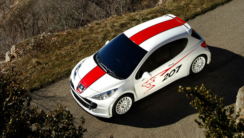  caRS - Peugeot_207_RCup.jpg