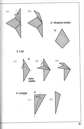Origami - IMG_00011.jpg
