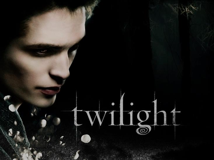 Tapety - Twilight-twilight-series-2954699-1024-768.jpg