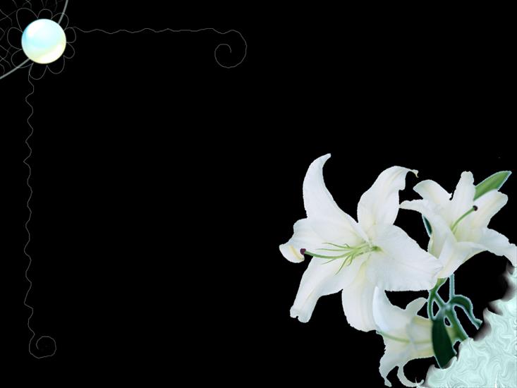 kwiaty 2 - White_Flowers_Frame.png