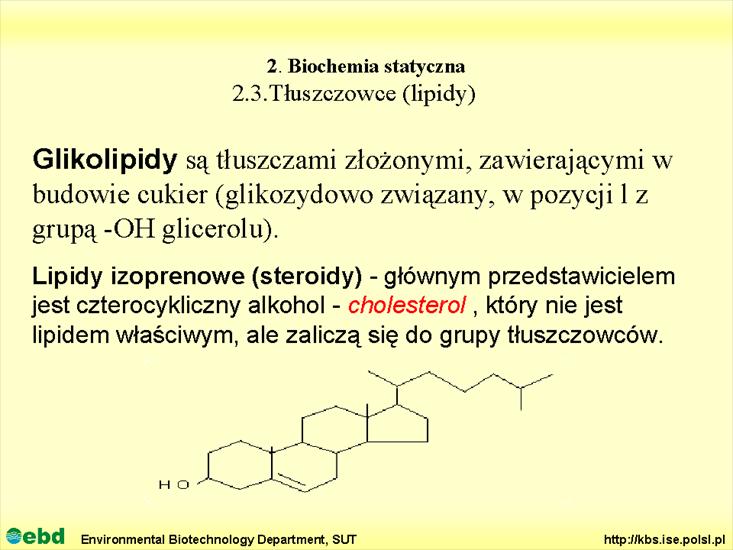 BIOCHEMIA 2 - biochemia statyczna - Slajd39.TIF