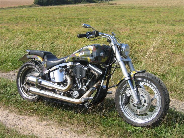 Motory - Harley Davidson Softail Custom Top EVO 1.jpg