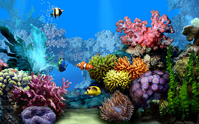 Akwarium podwodny świat - pre_marine2aw.jpg