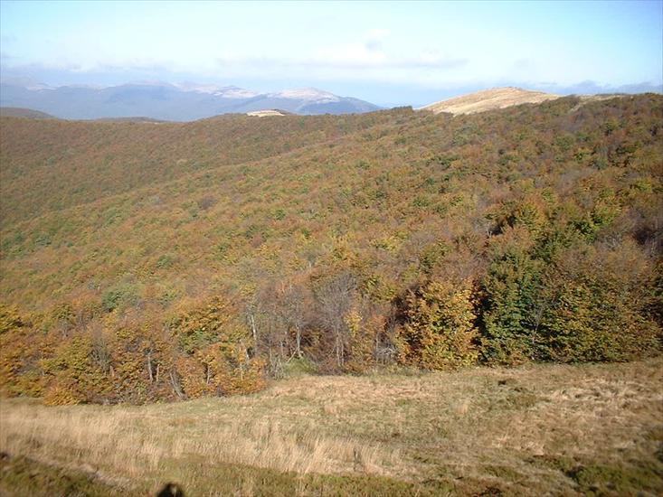 Bieszczady - Widok z Malej Rawki.jpg