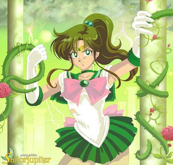 Makoto Kino Sailor Jupiter - __Sailor_Jupiter___by_TechnoRanma.jpg