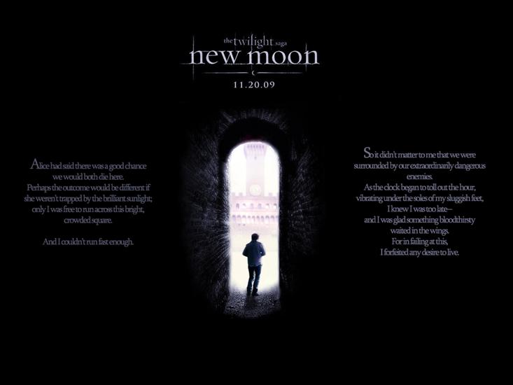 Księżyc w nowiu - 0New-Moon-twilight-series 131.jpg